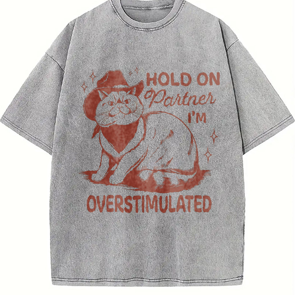 Sarcastic Cat 90s Vintage Washed T-Shirt product image 5