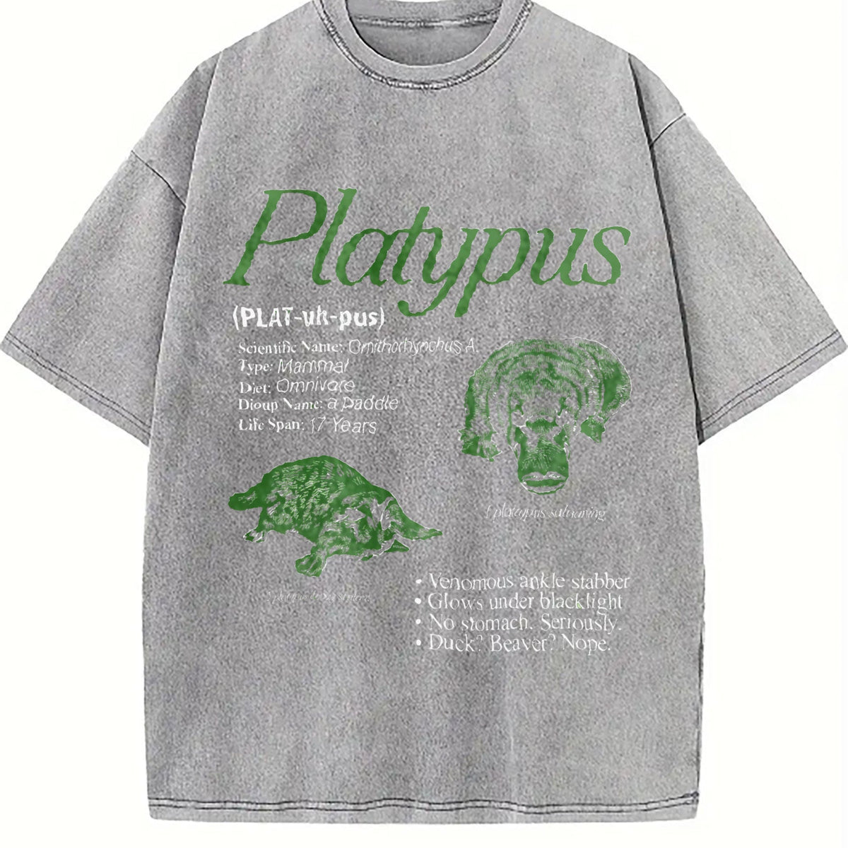 Platypus 90s Vintage Washed T-Shirt product image 5