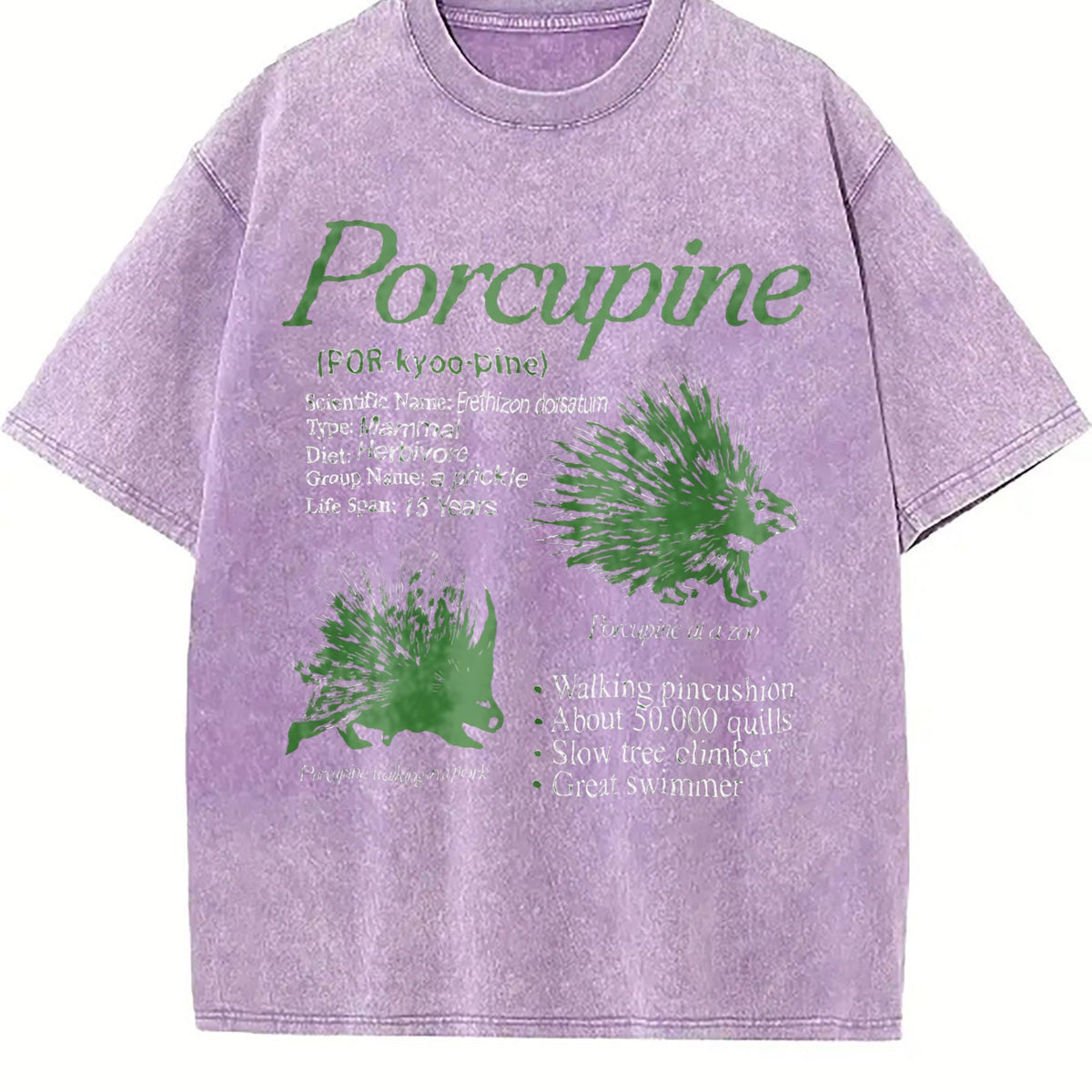 Porcupine 90s Vintage Washed T-Shirt product image 6