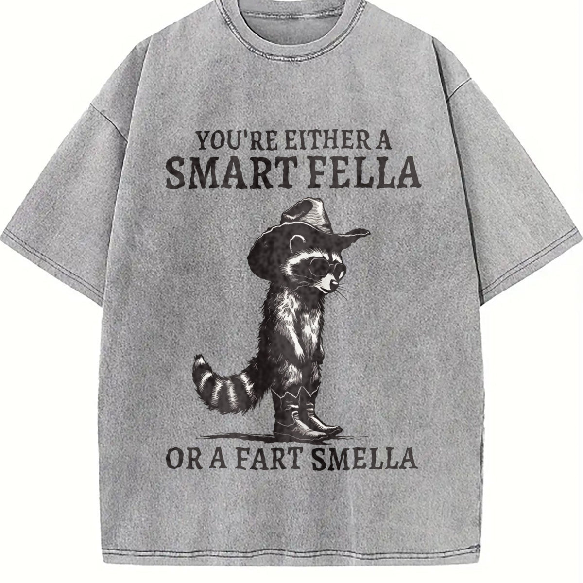 Smart Fella Raccoon 90s Vintage Washed T-Shirt product image 5