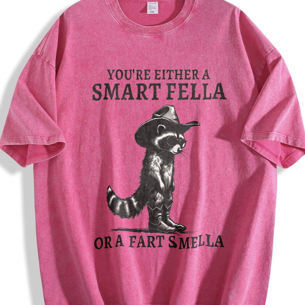 Smart Fella Raccoon 90s Vintage Washed T-Shirt product image 7