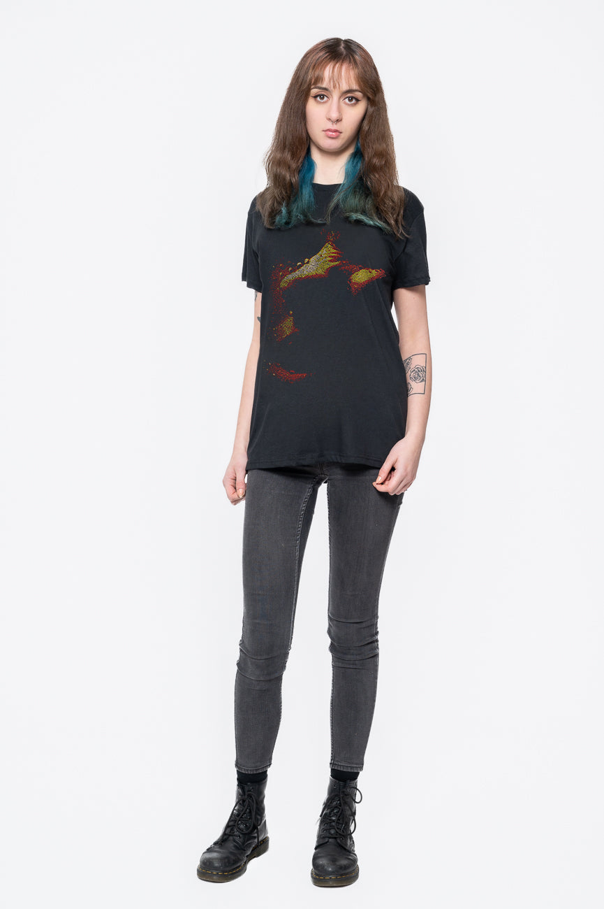 Paramore This Is Why T Shirt product image 2